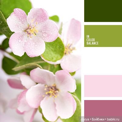 Красивое сочетание цветов