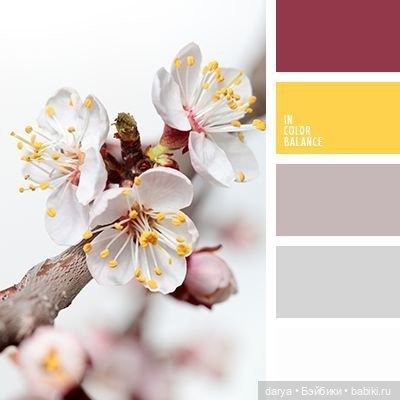 Красивое сочетание цветов (фото 9)