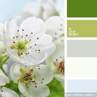 Красивое сочетание цветов (фото 7)