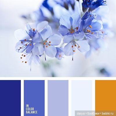 Красивое сочетание цветов (фото 2)