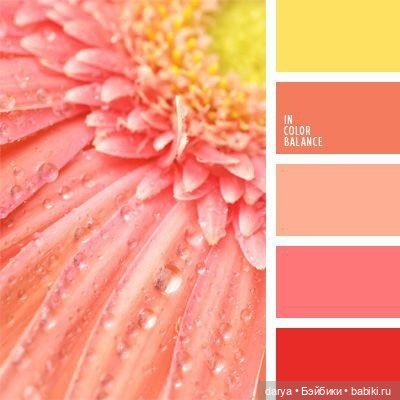 Красивое сочетание цветов