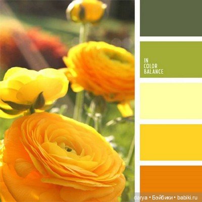 Красивое сочетание цветов