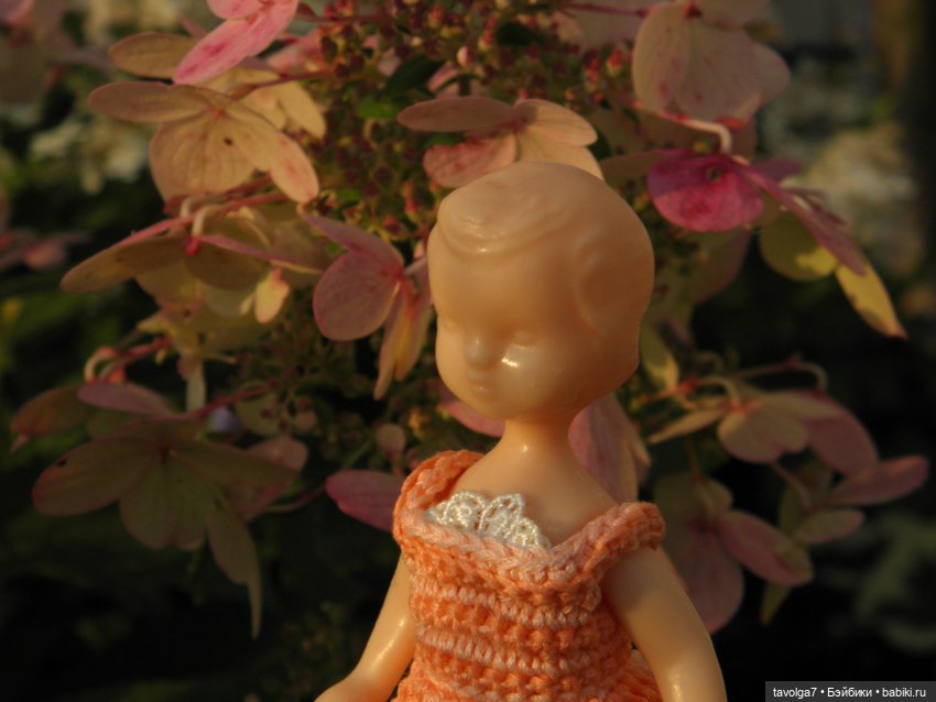 Три платья для Дюймовочки (фото 8)