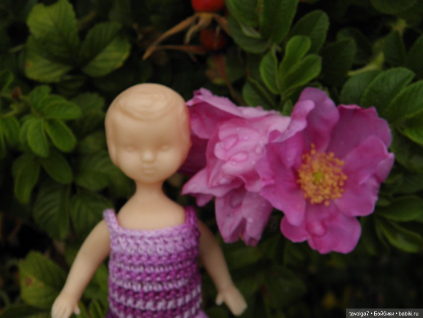 Три платья для Дюймовочки