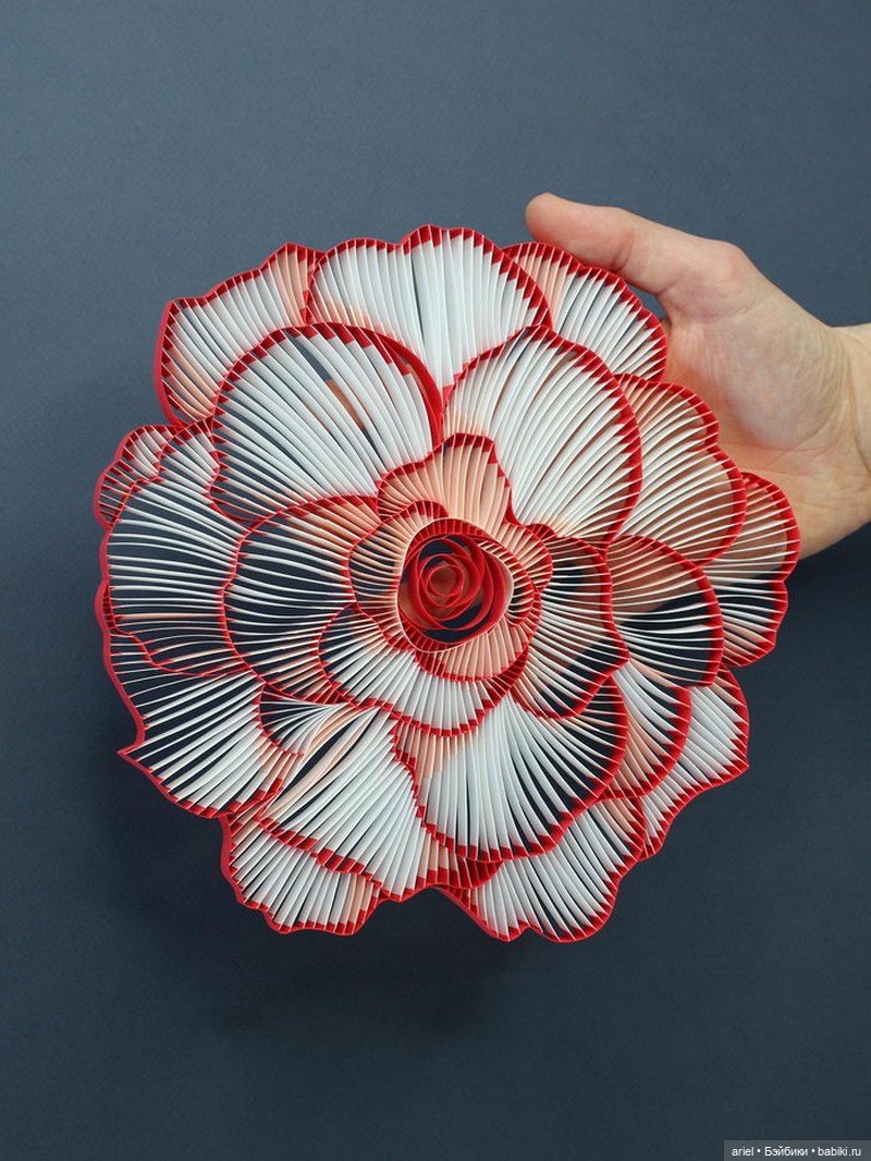 Бумажные скульптуры JUDiTH + ROLFE (фото 3)