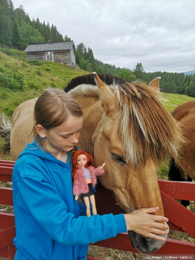 Путешествие по западной Норвегии (фото 8)