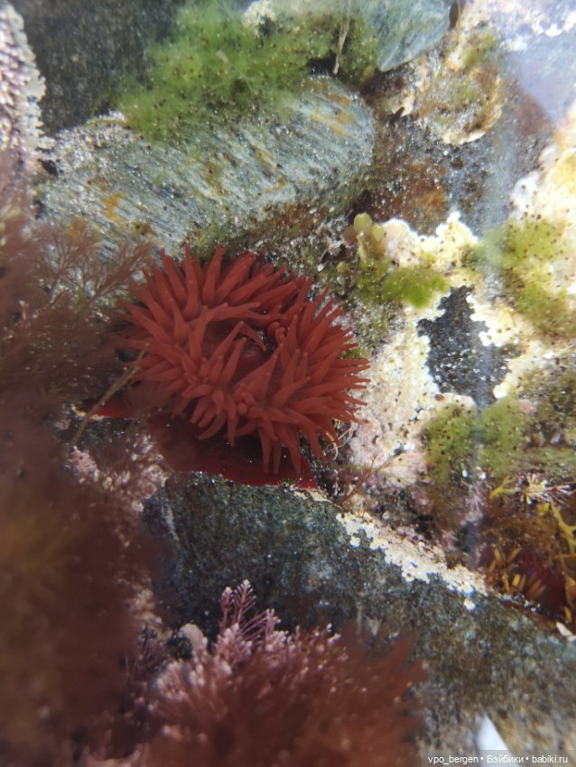 Путешествие по западной Норвегии