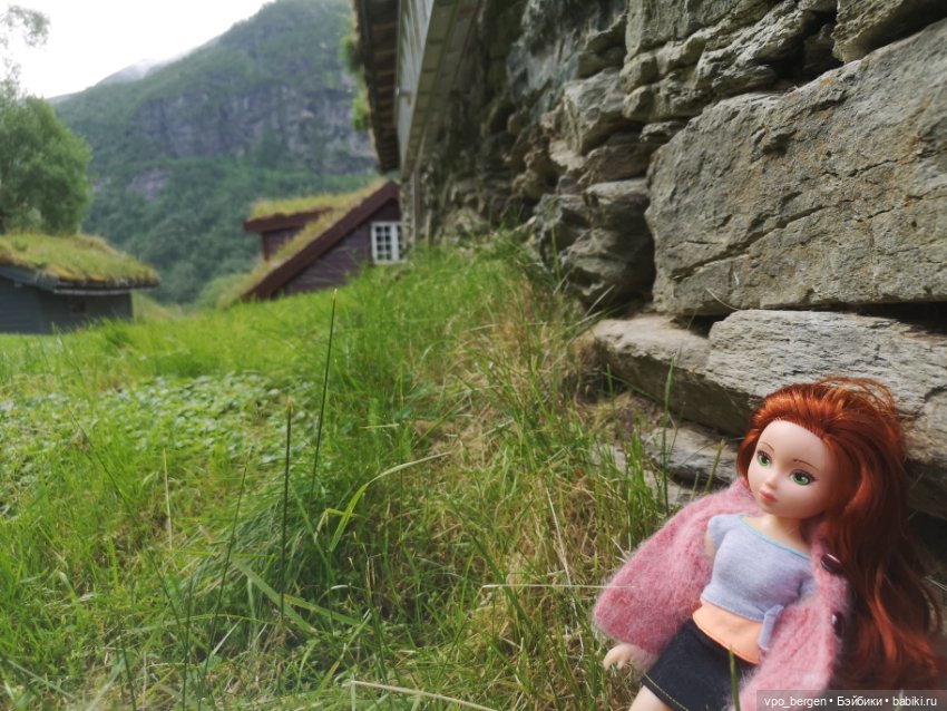 Путешествие по западной Норвегии (фото 5)