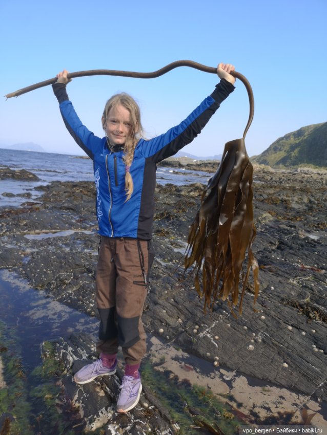 Путешествие по западной Норвегии