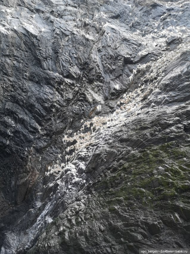 Путешествие по западной Норвегии (фото 10)