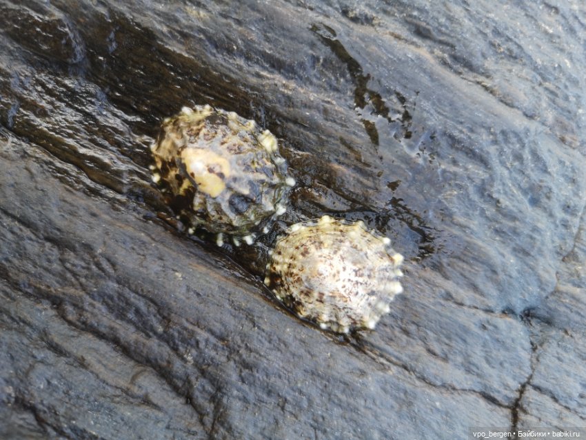 Путешествие по западной Норвегии