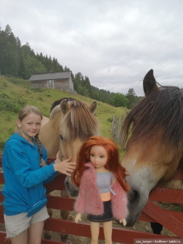 Путешествие по западной Норвегии (фото 7)