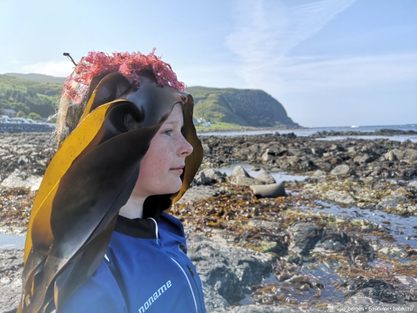 Путешествие по западной Норвегии