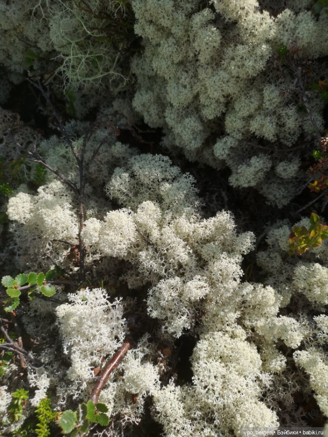 Путешествие по западной Норвегии