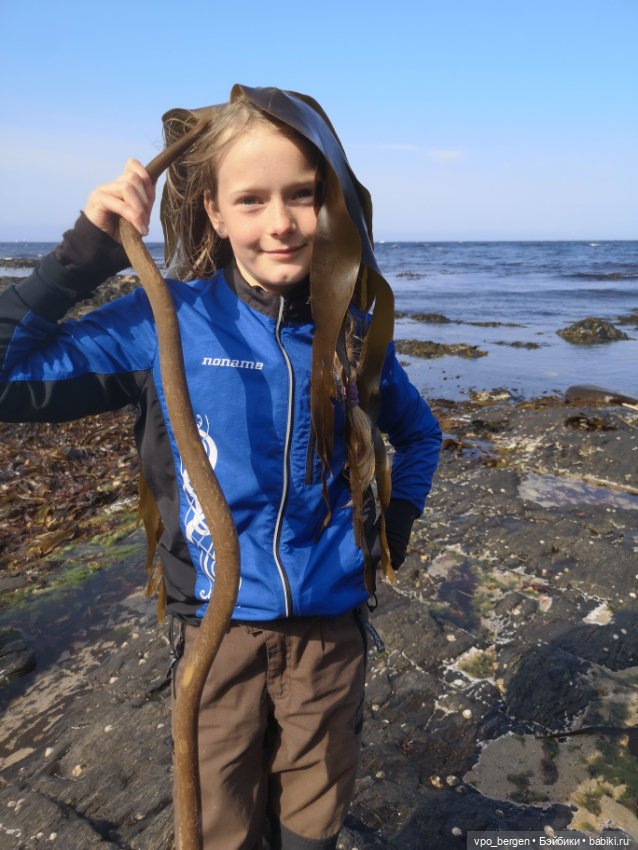 Путешествие по западной Норвегии