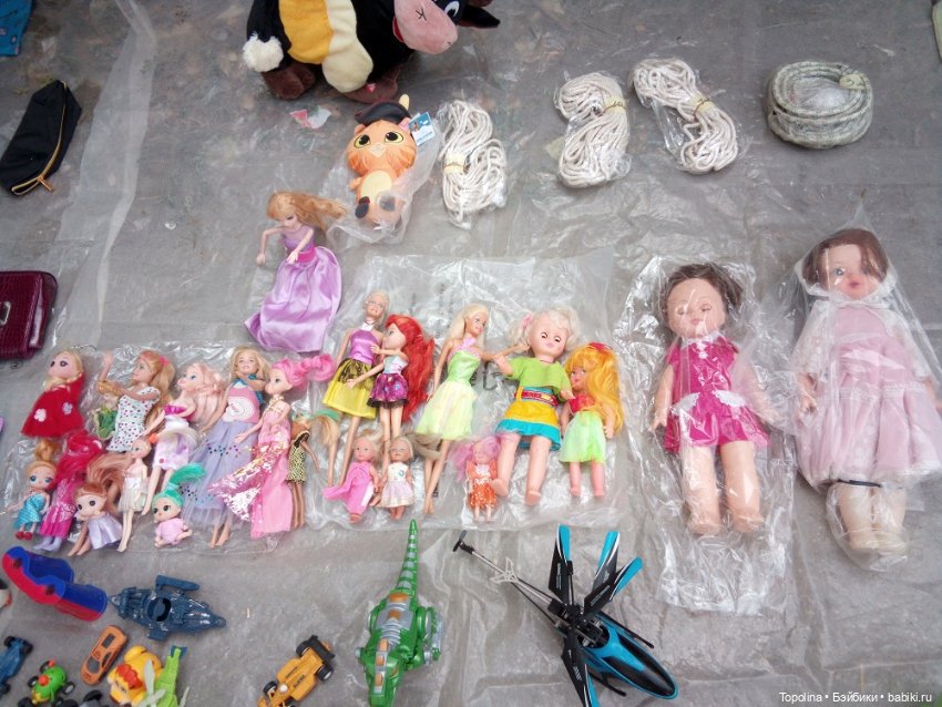 Блошка. Моя очередная добыча