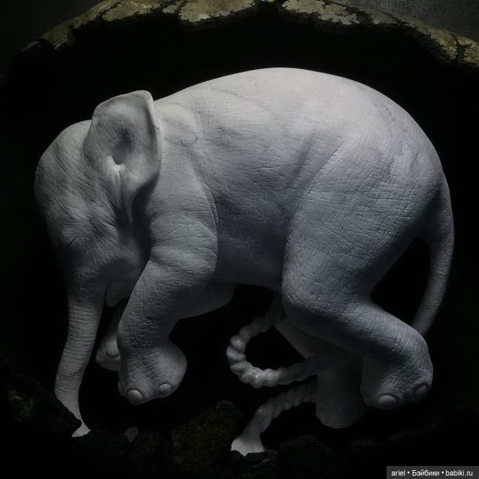 Невероятные скульптуры Jago Jacopo Cardillo (фото 5)