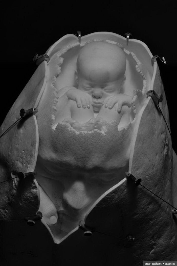 Невероятные скульптуры Jago Jacopo Cardillo