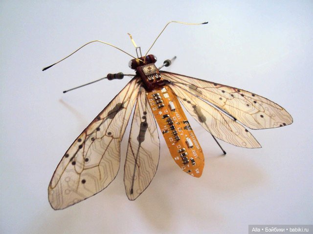 Бабочки от Julie Alice Chappell, Англия