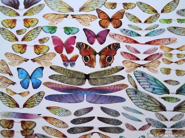 Бабочки от Julie Alice Chappell, Англия (фото 5)