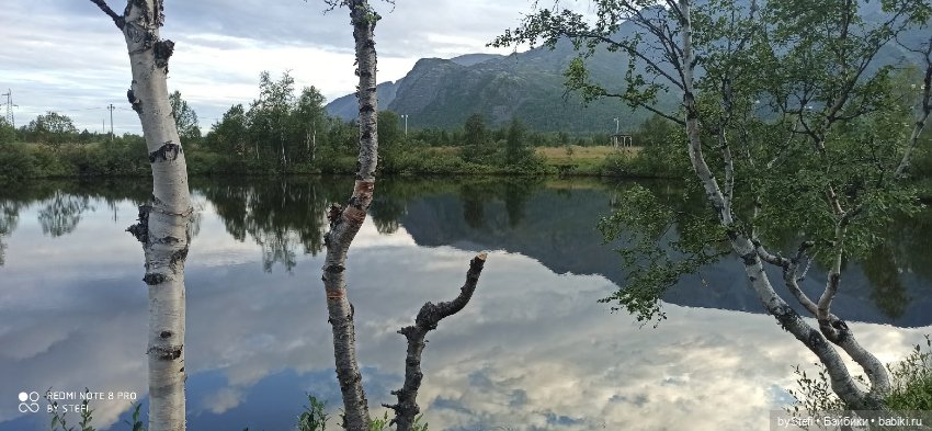 Покажу ещё немножко нашей природы (фото 9)