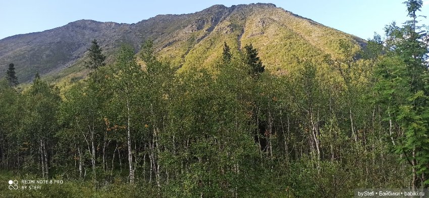 Покажу ещё немножко нашей природы (фото 4)