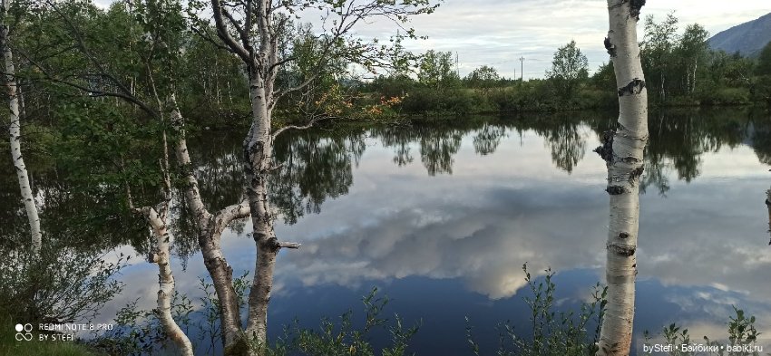Покажу ещё немножко нашей природы (фото 10)
