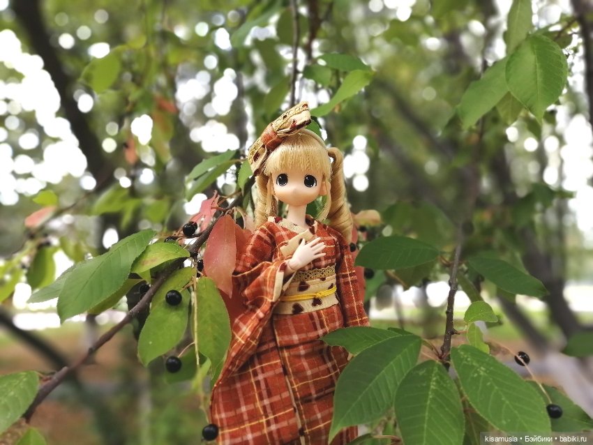 Малышки mamachapp в кимоно (фото 6)