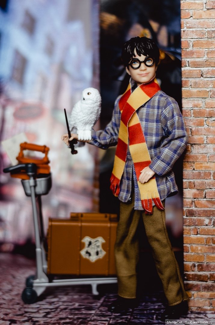 Гарри Поттер и Луна Лавгуд (фото 2)