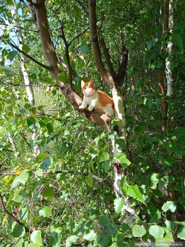 Лето кота Рыжика — Куклы с Алиэкспресс (Aliexpress): Китайские шарнирные