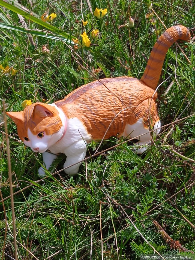 Лето кота Рыжика — Куклы с Алиэкспресс (Aliexpress): Китайские шарнирные (фото 9)