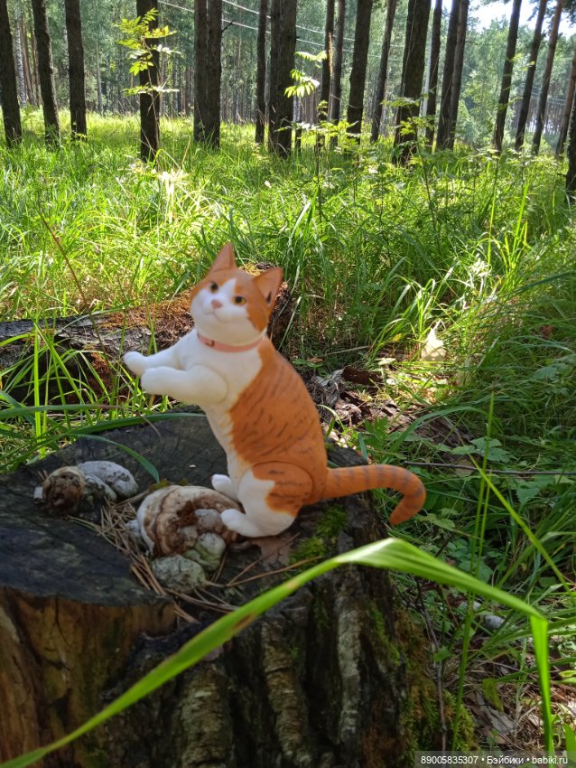 Лето кота Рыжика — Куклы с Алиэкспресс (Aliexpress): Китайские шарнирные