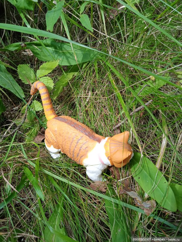 Лето кота Рыжика — Куклы с Алиэкспресс (Aliexpress): Китайские шарнирные