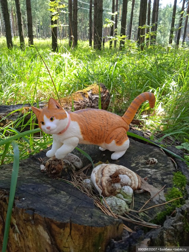 Лето кота Рыжика — Куклы с Алиэкспресс (Aliexpress): Китайские шарнирные