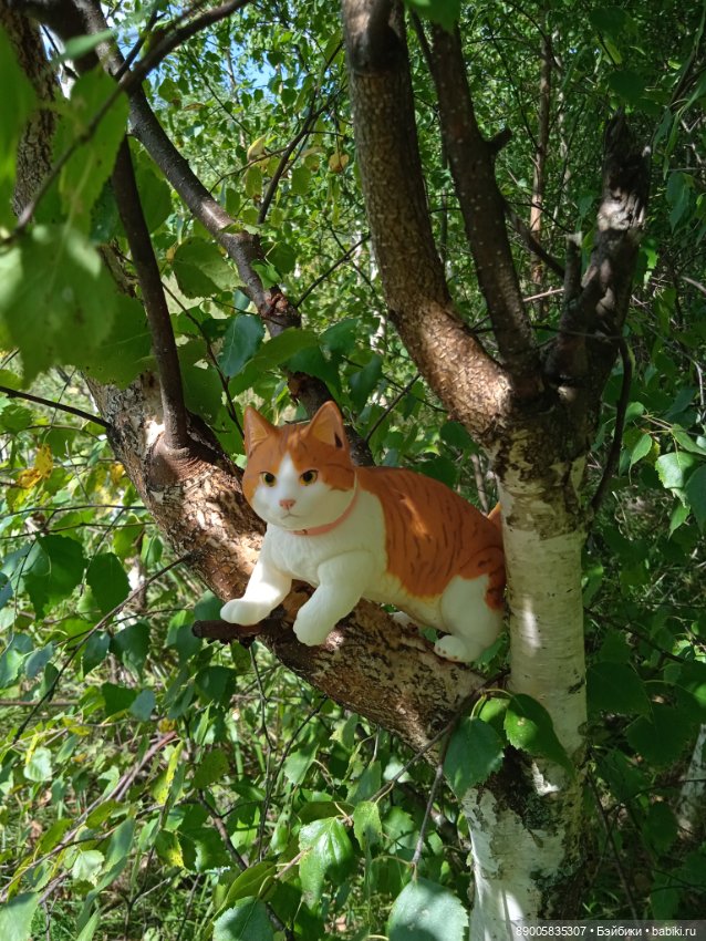 Лето кота Рыжика — Куклы с Алиэкспресс (Aliexpress): Китайские шарнирные