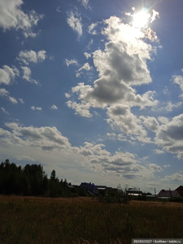 Лето кота Рыжика — Куклы с Алиэкспресс (Aliexpress): Китайские шарнирные