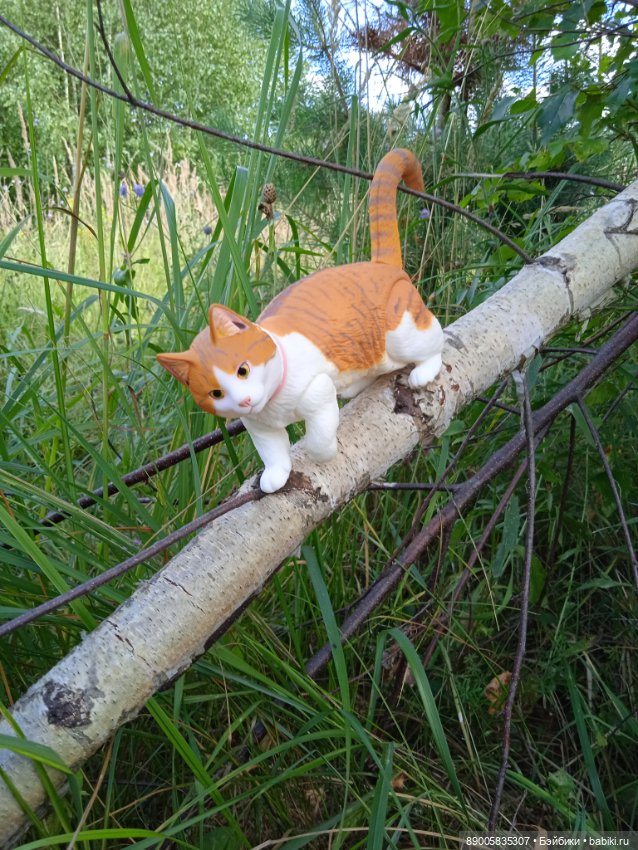 Лето кота Рыжика — Куклы с Алиэкспресс (Aliexpress): Китайские шарнирные (фото 2)