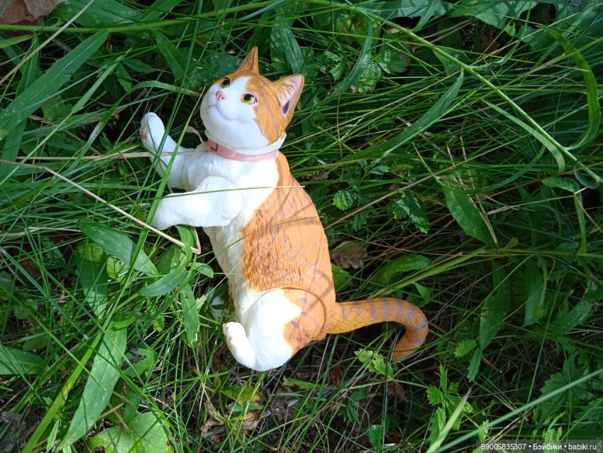 Лето кота Рыжика — Куклы с Алиэкспресс (Aliexpress): Китайские шарнирные