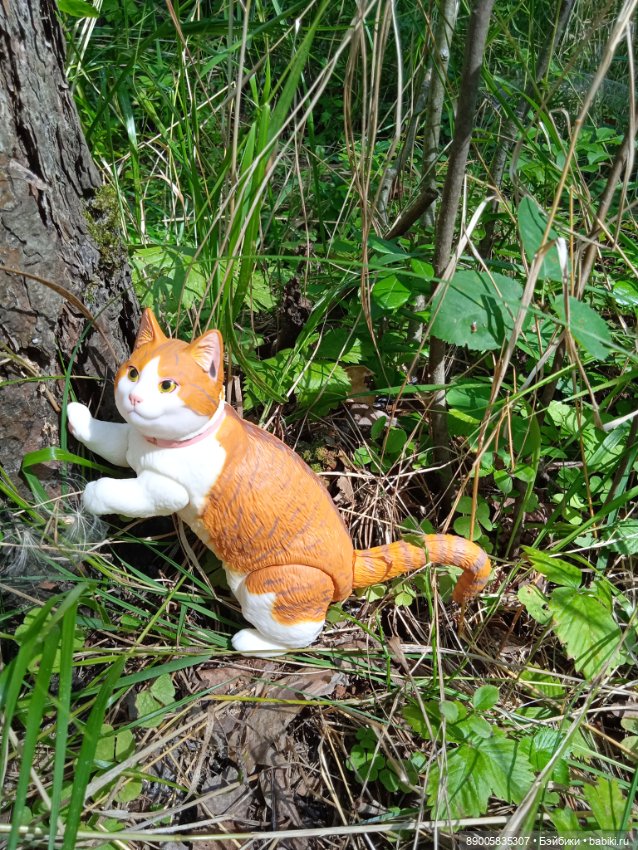 Лето кота Рыжика — Куклы с Алиэкспресс (Aliexpress): Китайские шарнирные