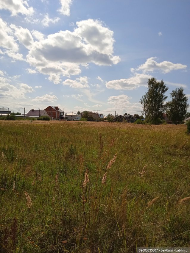 Лето кота Рыжика — Куклы с Алиэкспресс (Aliexpress): Китайские шарнирные