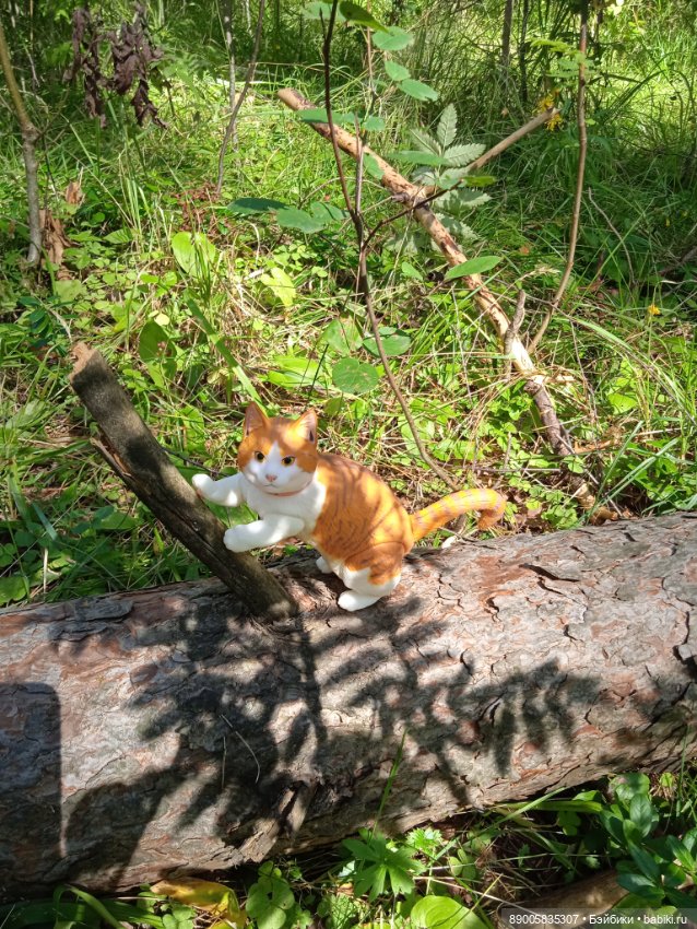 Лето кота Рыжика — Куклы с Алиэкспресс (Aliexpress): Китайские шарнирные