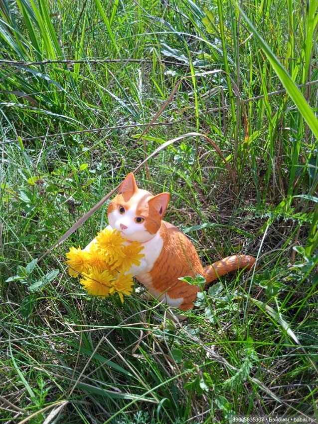 Лето кота Рыжика — Куклы с Алиэкспресс (Aliexpress): Китайские шарнирные