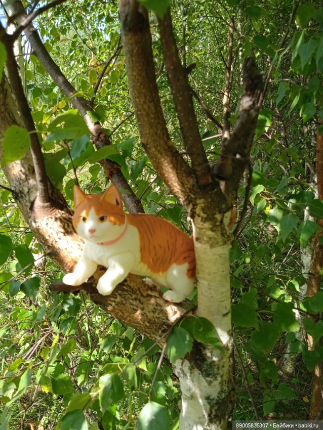 Лето кота Рыжика — Куклы с Алиэкспресс (Aliexpress): Китайские шарнирные