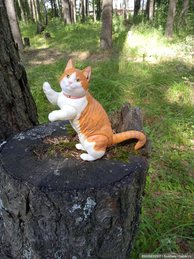 Лето кота Рыжика — Куклы с Алиэкспресс (Aliexpress): Китайские шарнирные