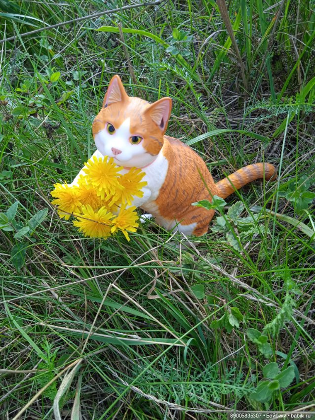 Лето кота Рыжика — Куклы с Алиэкспресс (Aliexpress): Китайские шарнирные