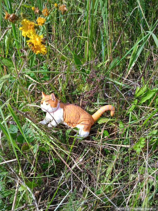 Лето кота Рыжика — Куклы с Алиэкспресс (Aliexpress): Китайские шарнирные (фото 3)