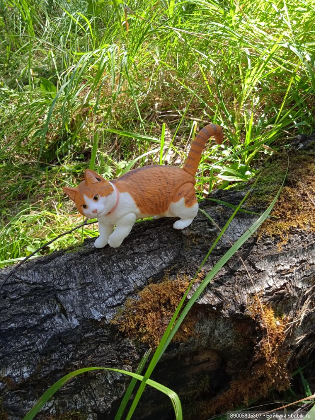 Лето кота Рыжика — Куклы с Алиэкспресс (Aliexpress): Китайские шарнирные