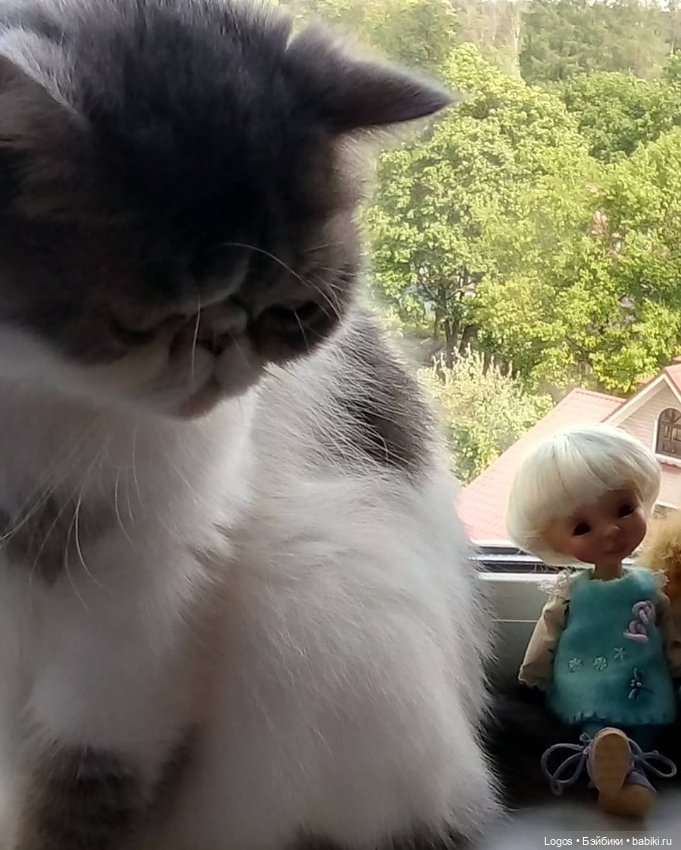 Малыши-бриттиши — Куклы Nikki Britt (Никки Бритт): авторские BJD (БЖД) (фото 9)