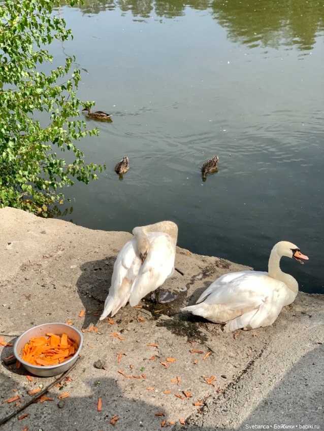 Часть 1. Прогулка в ЦПКиО им. Маяковского г. Екатеринбург с куклами Biggers