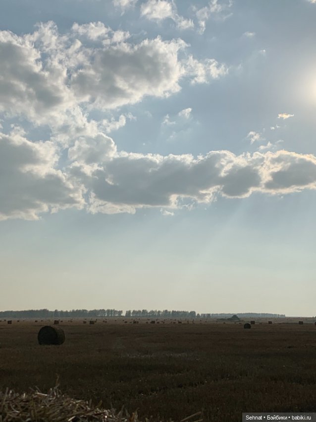 Август таял в янтарном меду (фото 5)